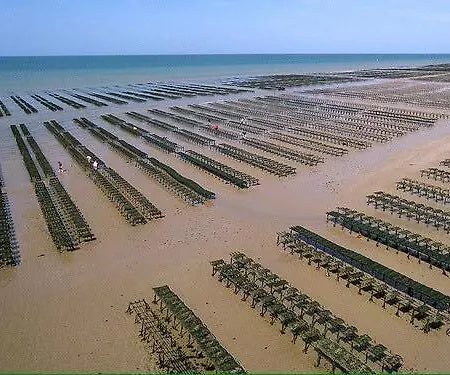 Appartement Duplex Rénové Belle Terrasse Aménagée Près Omaha Et Bayeux *