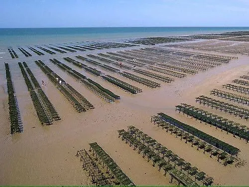 דירה Les Mouettes Duplex Independant Dans Maison Spacieux Petite Vue Sur Des Belle Terrasse Amenagee En Hauteur Pres Omaha Et Bayeux 800 M Et 300 M Superette *